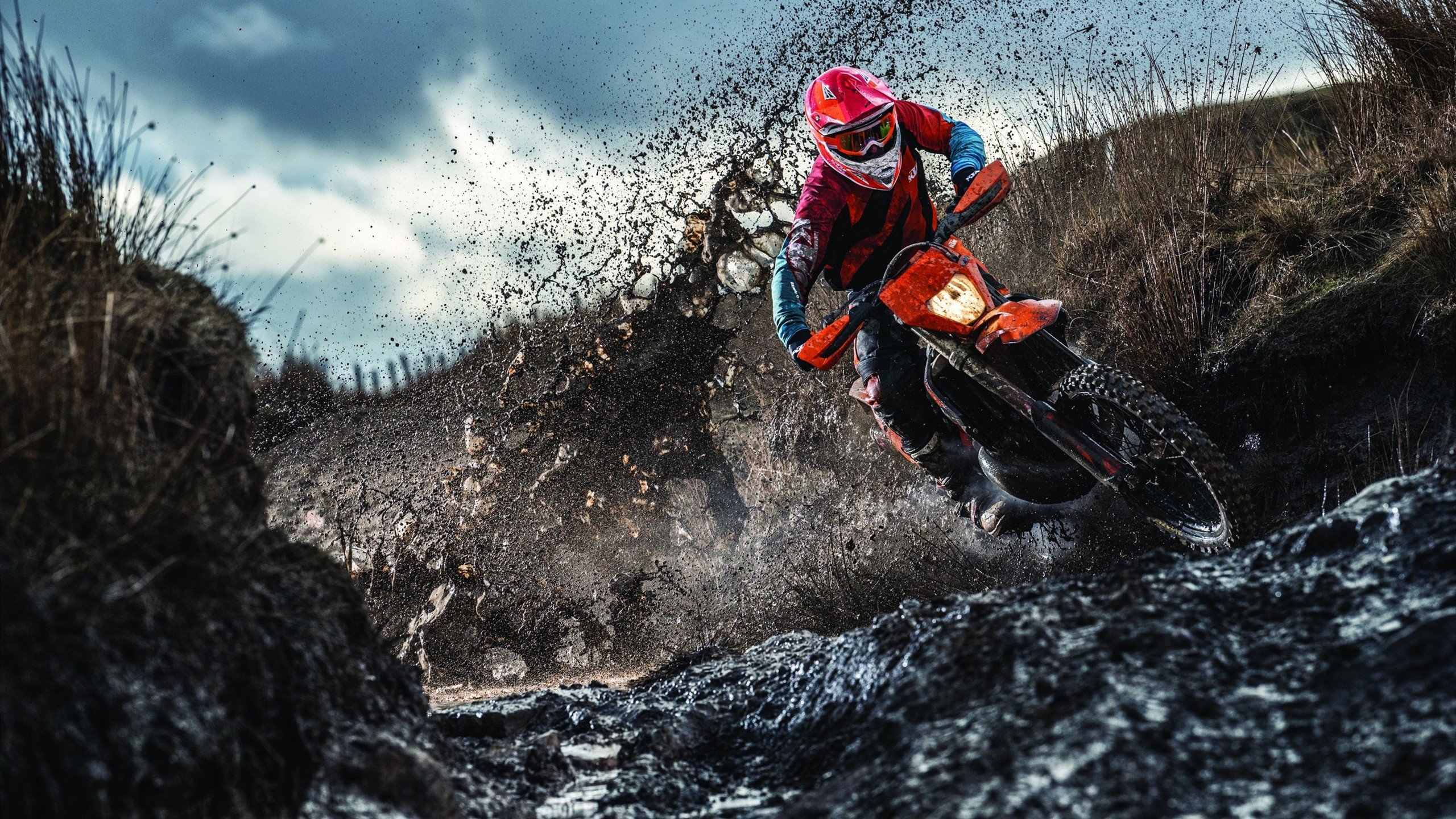 篮球运动员训练负荷科学管理及训练计划调整技术,篮球负重训练